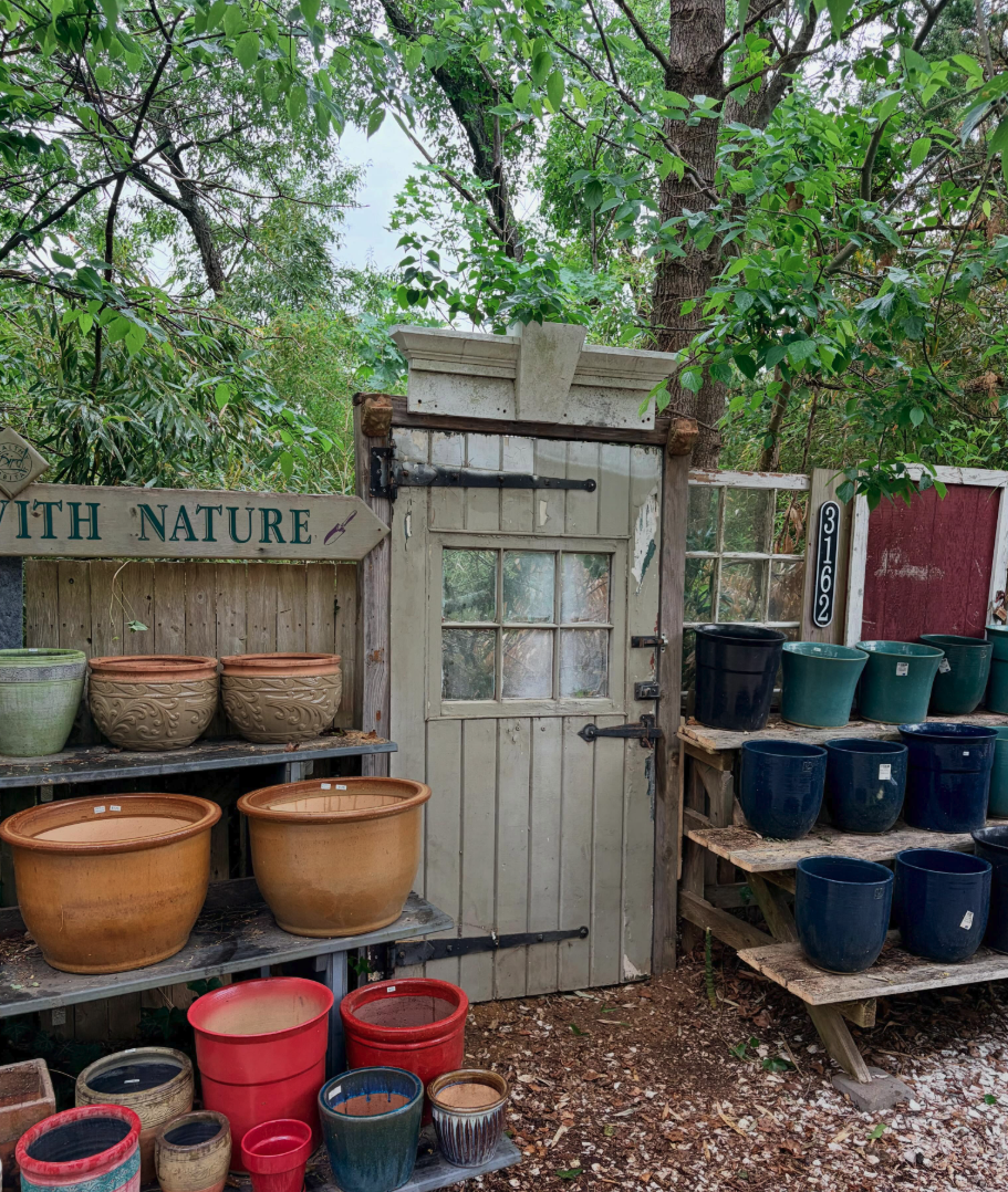 Nature garden corner with rustic door and colorful pottery displays at Feathered Nest