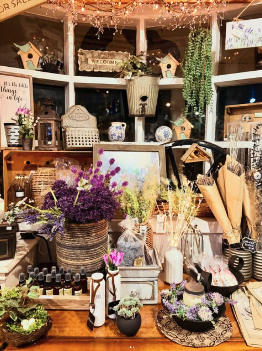 Outdoor garden seating and decor displayed at the shop